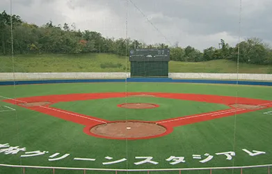 Mono-B 65 Césped artificial para béisbol